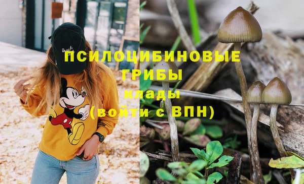 MDMA Premium VHQ Беломорск