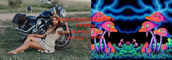 MDMA Premium VHQ Беломорск