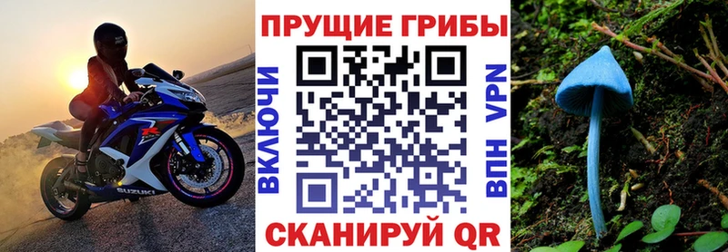 Галлюциногенные грибы Cubensis  Улан-Удэ 