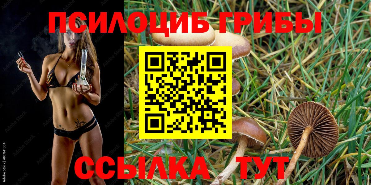 Псилоцибиновые грибы мицелий Улан-Удэ