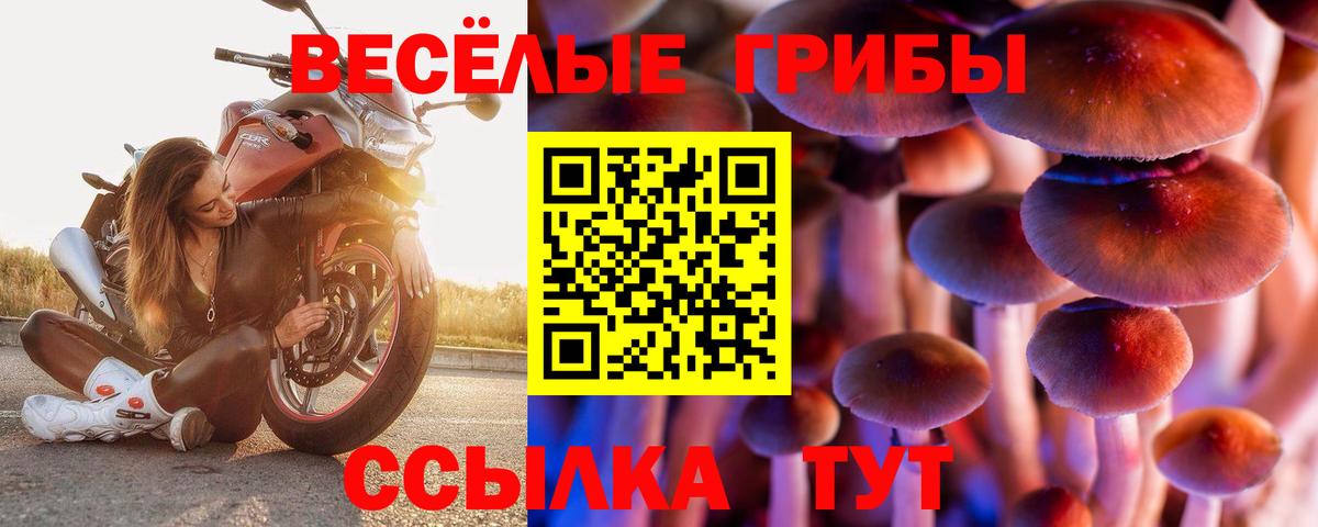 Улан-Удэ  Галлюциногенные грибы MAGIC MUSHROOMS  Вход с VPN 